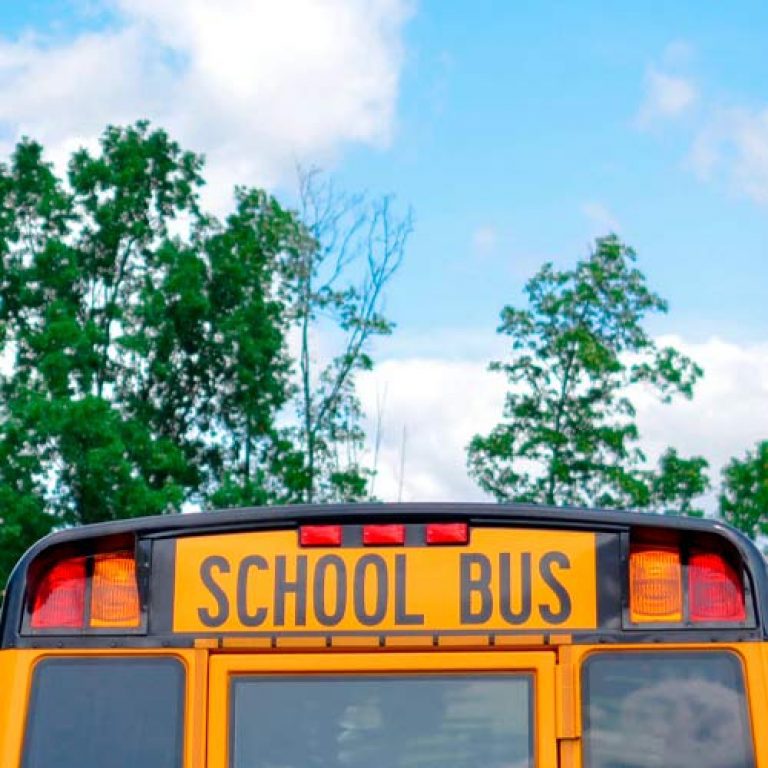 Significado de Escuela