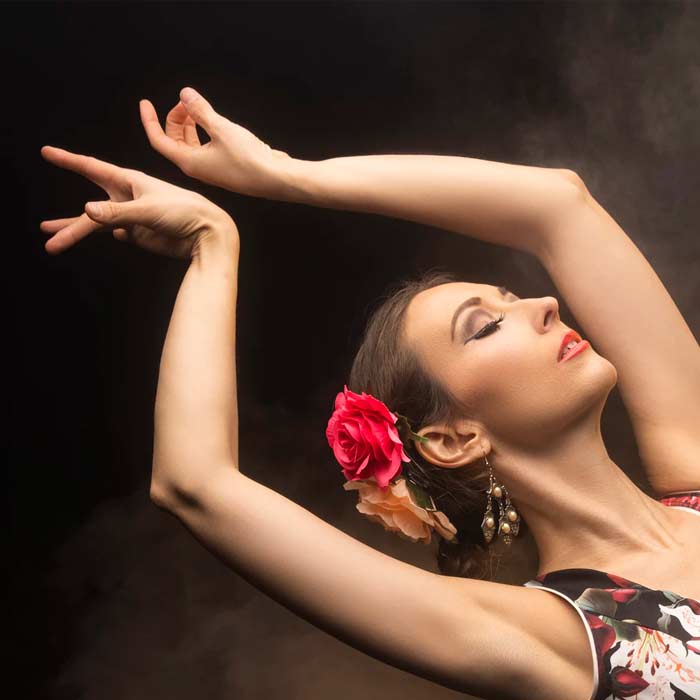 Significado de Flamenco
