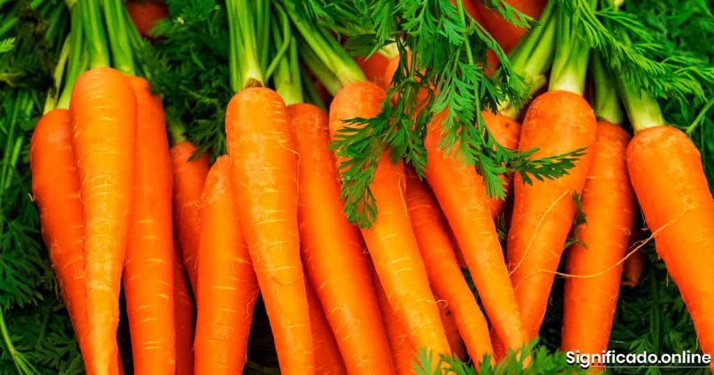 Zanahorias, sus propiedades, beneficios y valor nutricional