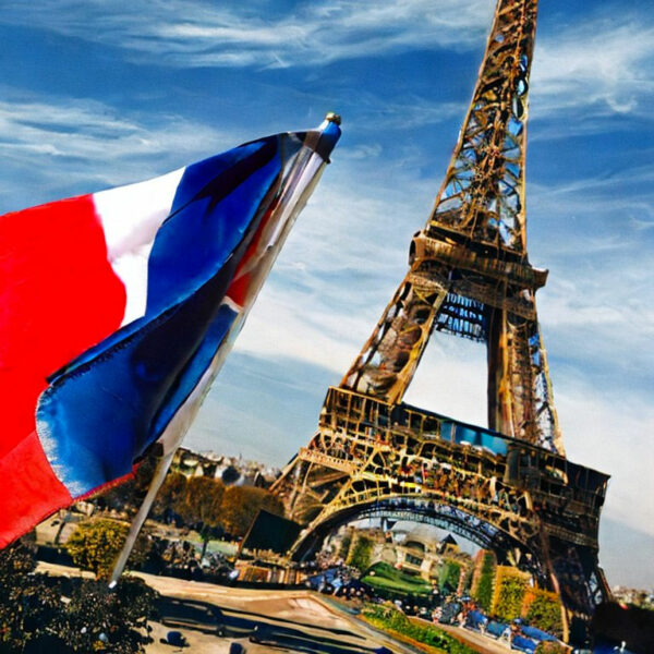 Uso de la bandera de Francia en la actualidad