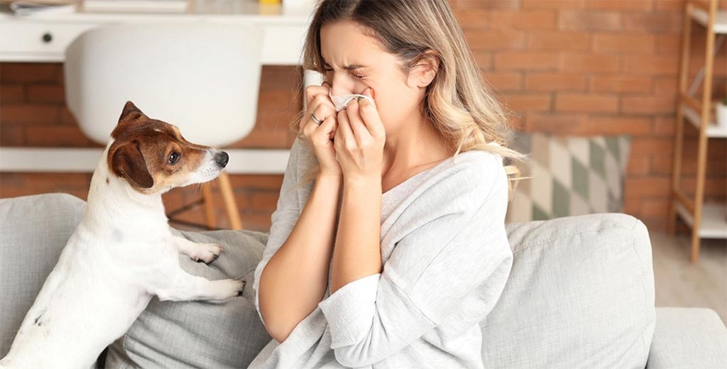 La Ciencia Detras Del Olfato Canino