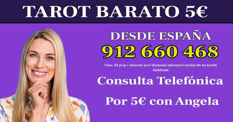 Videntes Economicas Y Fiables