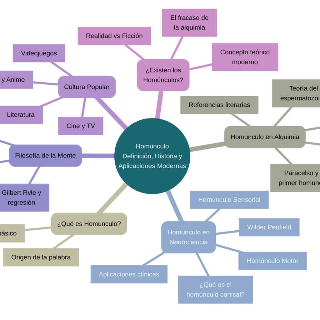 El Homunculo De Penfield