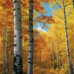 Escobas De Bruja En Los Arboles