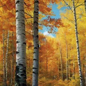 Escobas De Bruja En Los Arboles